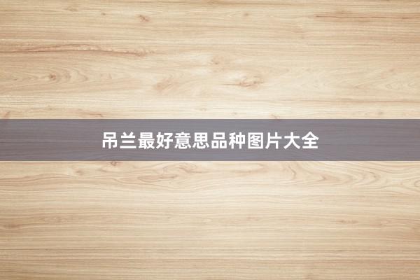 吊兰最好意思品种图片大全